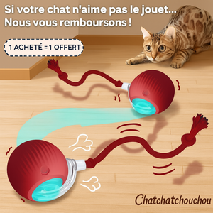 Foliebouboule™ - Balle Interactive Pour Chats