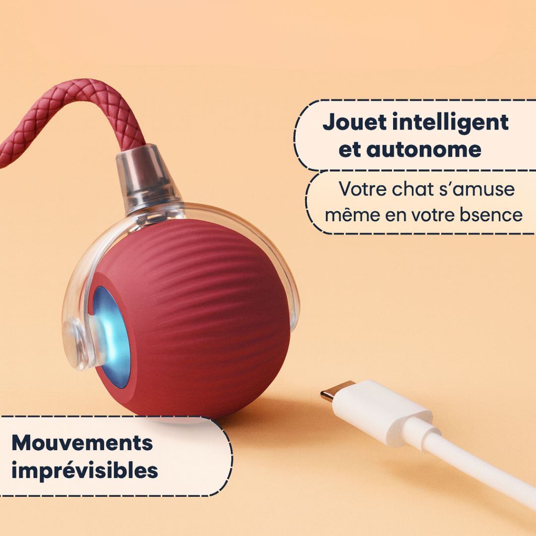 Foliebouboule™ - Balle Interactive Pour Chats