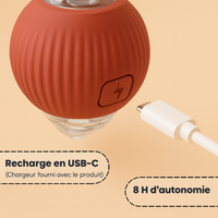 Foliebouboule™ - Balle Interactive Pour Chats