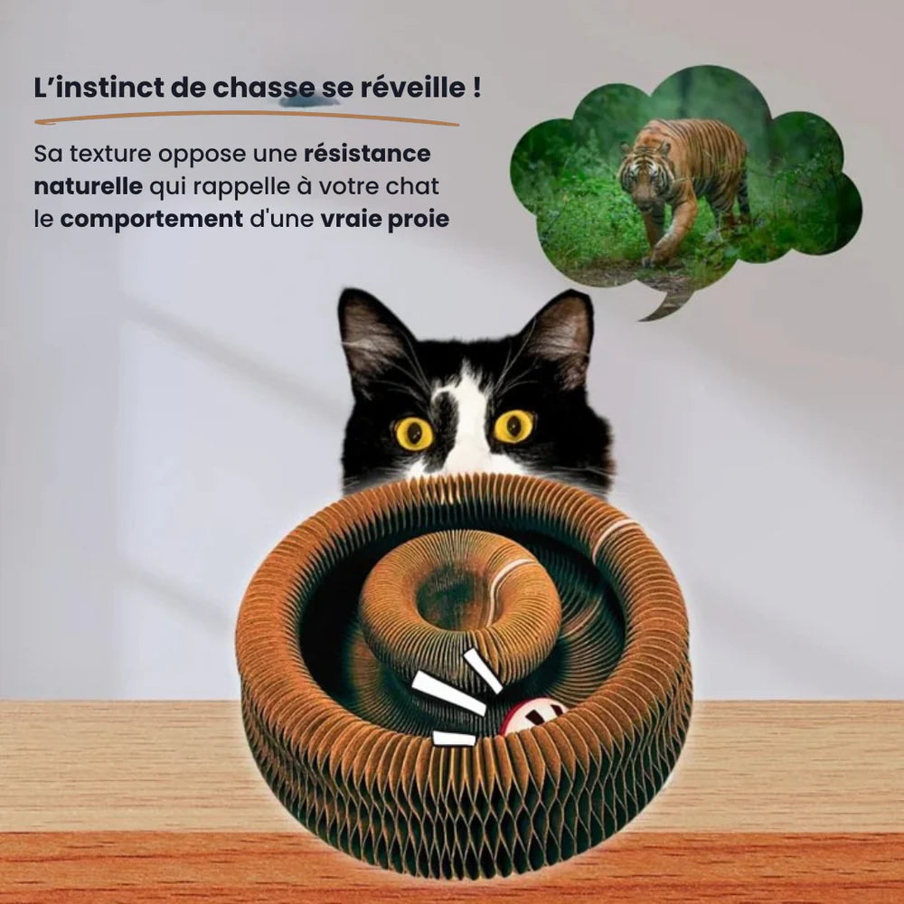 ChatchouSpin™ - Griffoir interactif pour chats